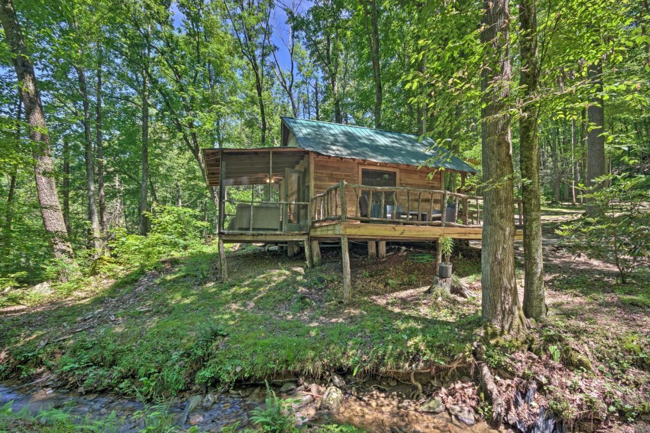 Creekside Cabin With Deck In Pisgah Forest! Barnardsville Kültér fotó