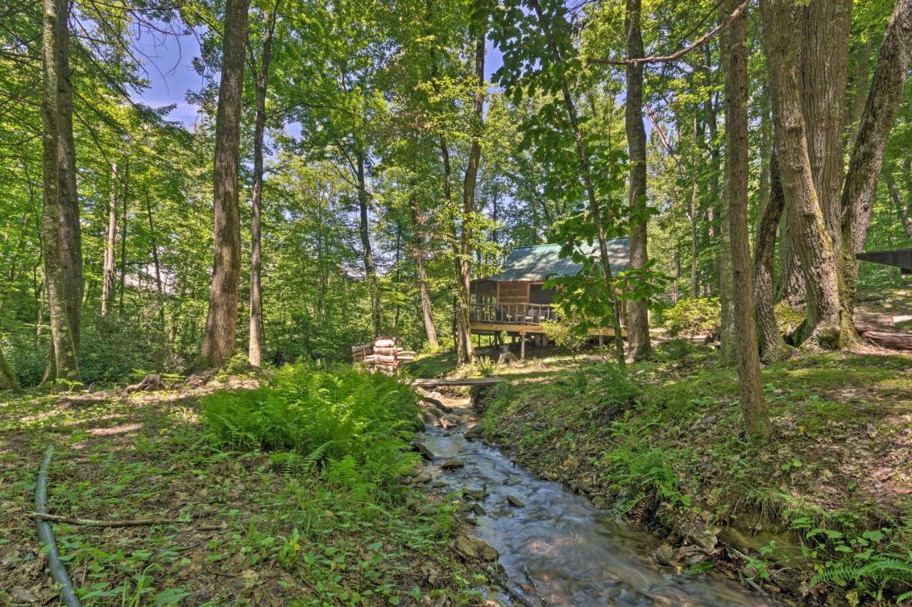 Creekside Cabin With Deck In Pisgah Forest! Barnardsville Kültér fotó