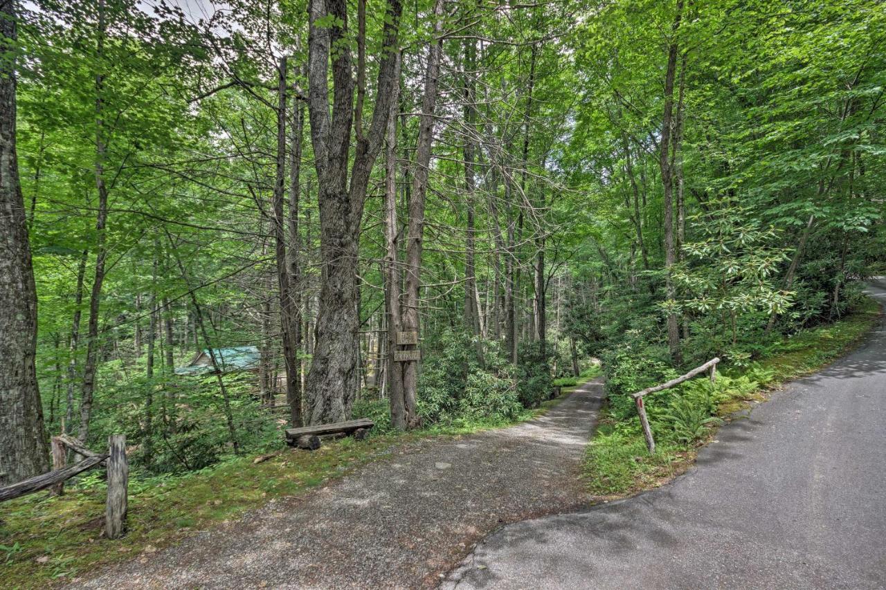 Creekside Cabin With Deck In Pisgah Forest! Barnardsville Kültér fotó