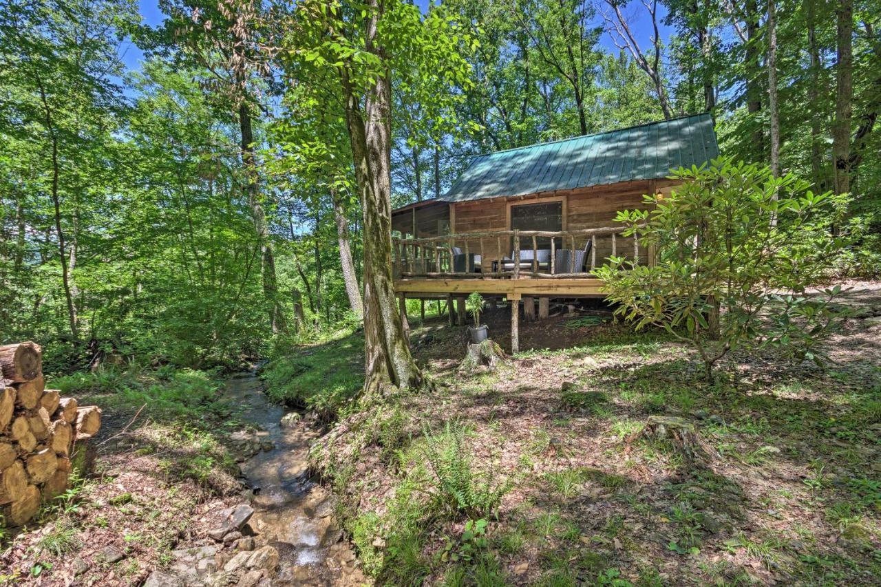 Creekside Cabin With Deck In Pisgah Forest! Barnardsville Kültér fotó
