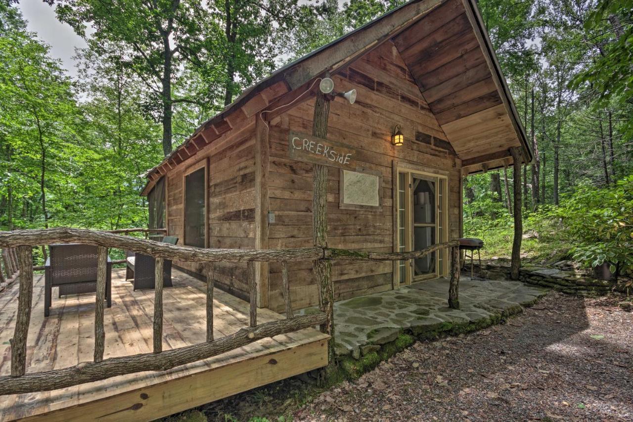 Creekside Cabin With Deck In Pisgah Forest! Barnardsville Kültér fotó