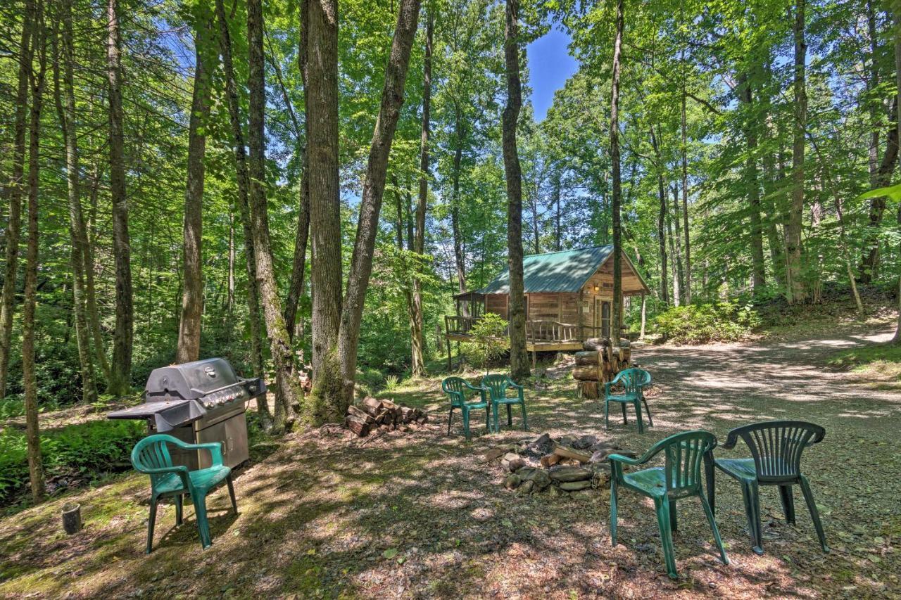 Creekside Cabin With Deck In Pisgah Forest! Barnardsville Kültér fotó