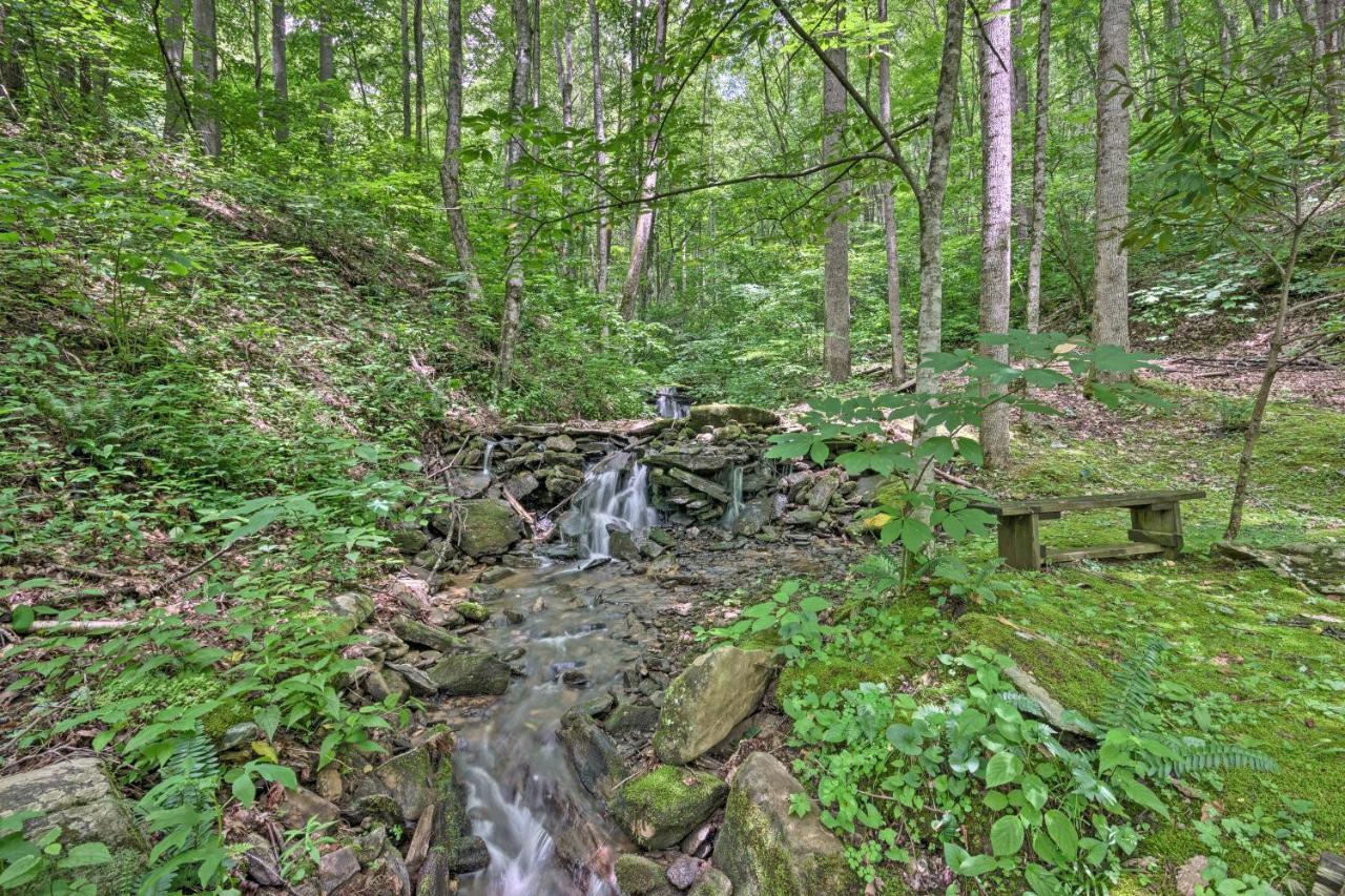 Creekside Cabin With Deck In Pisgah Forest! Barnardsville Kültér fotó